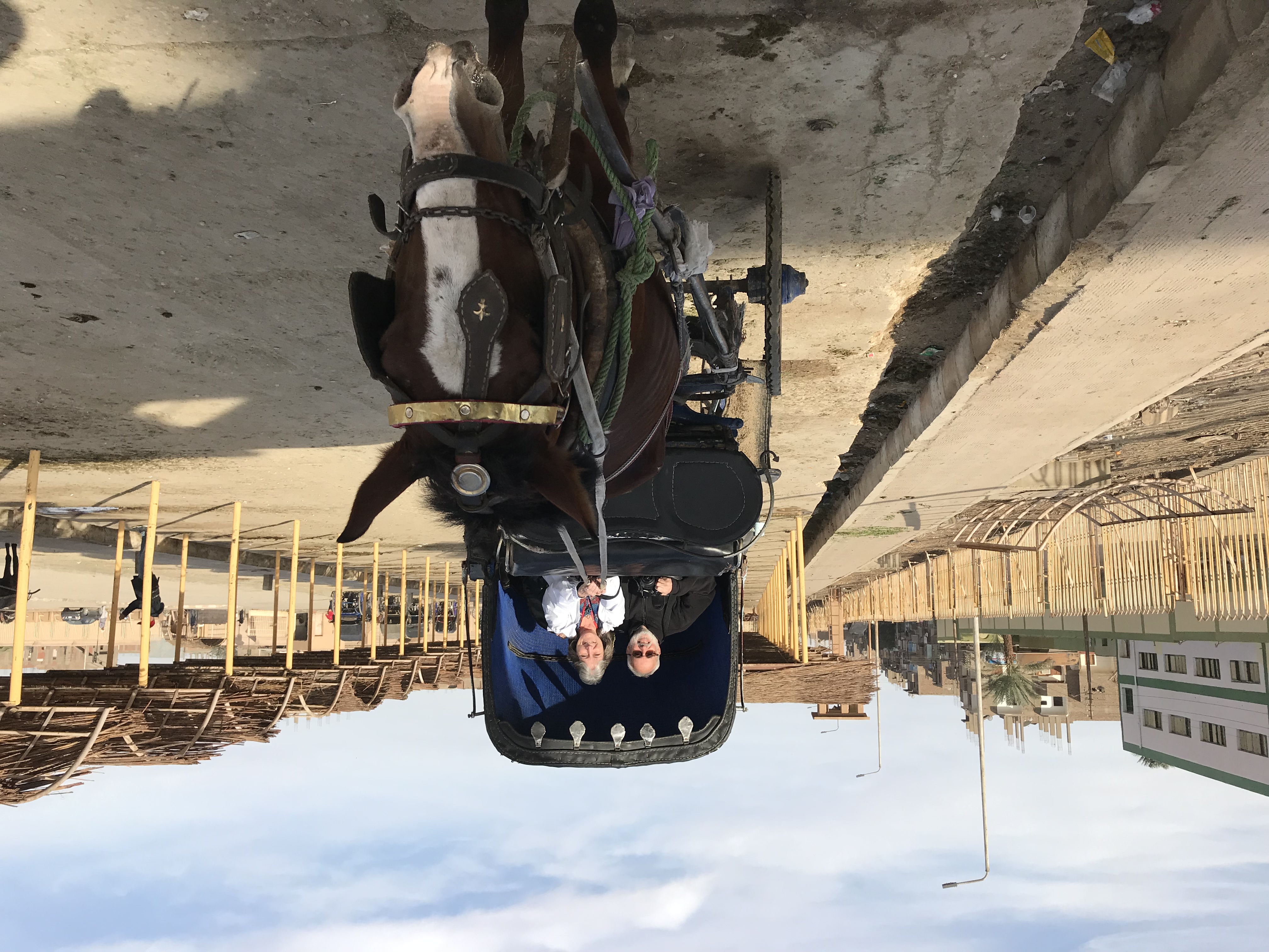 ./2018/16 - Egypt/11 - Edfu/IMG_4074.jpg